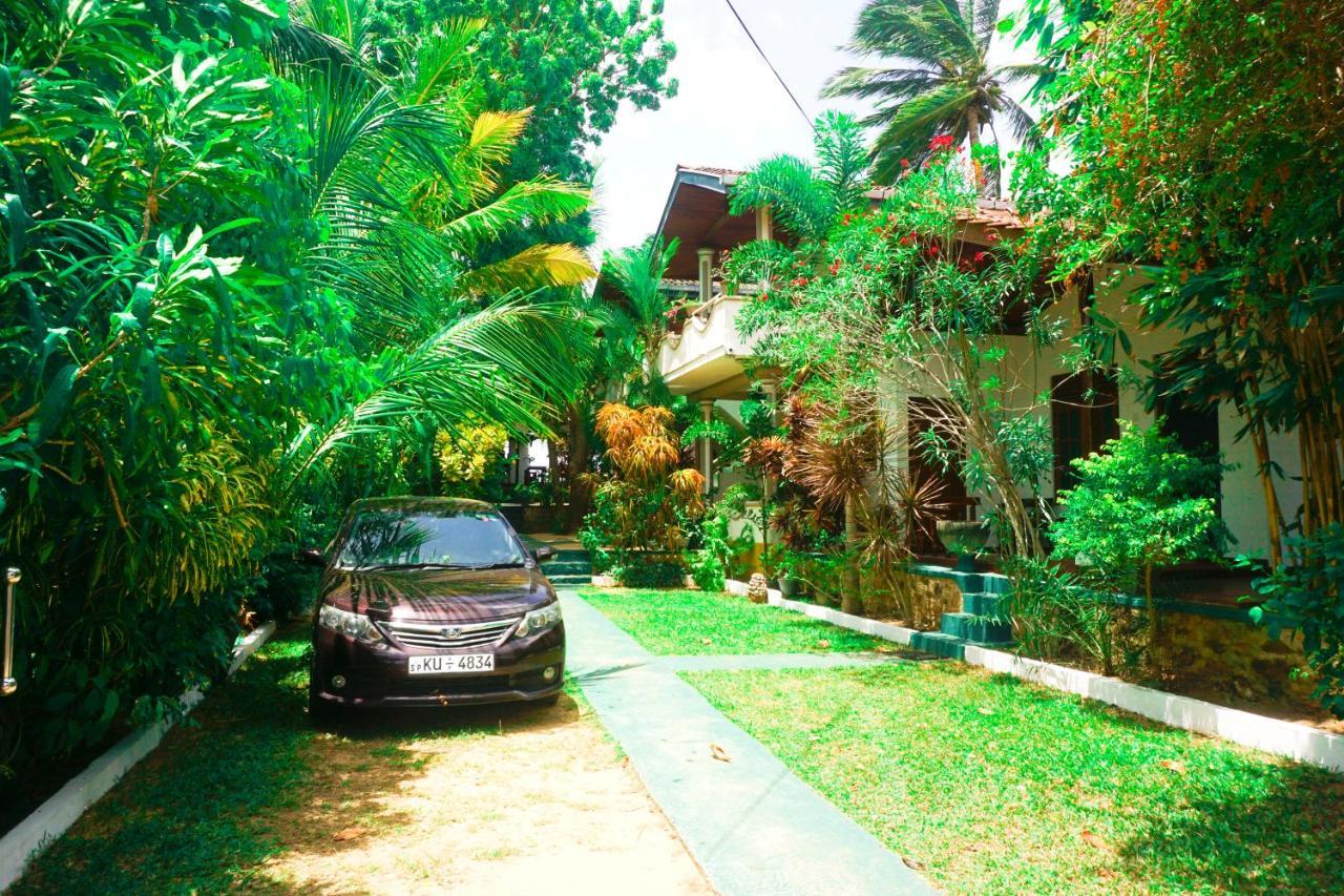 Panorama Rock Cafe Bed & Breakfast Tangalle Exterior foto